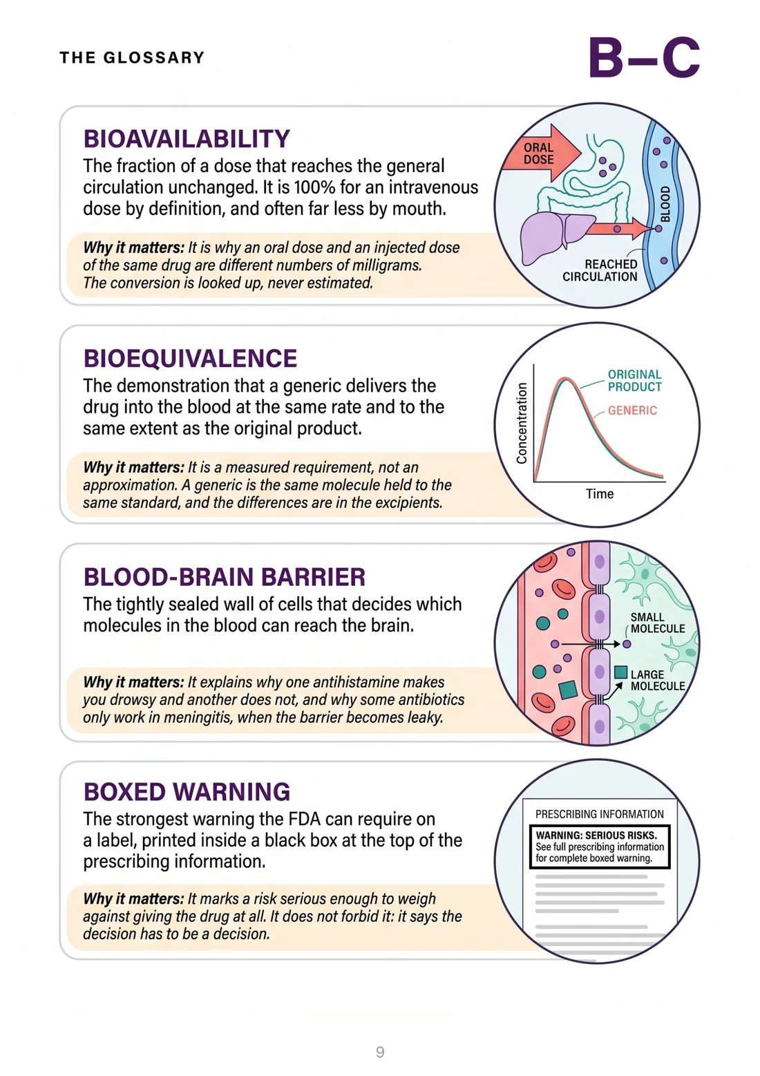 A glossary page: four terms explained with illustrations