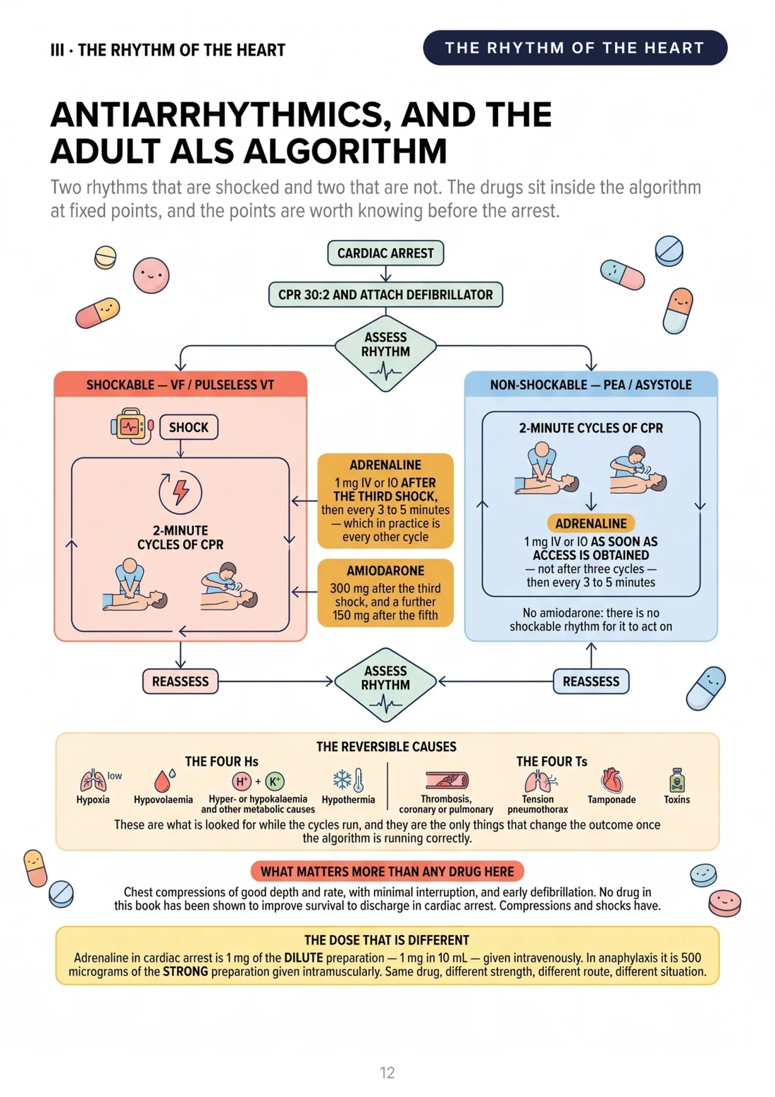 Antiarrhythmics and the adult ALS algorithm