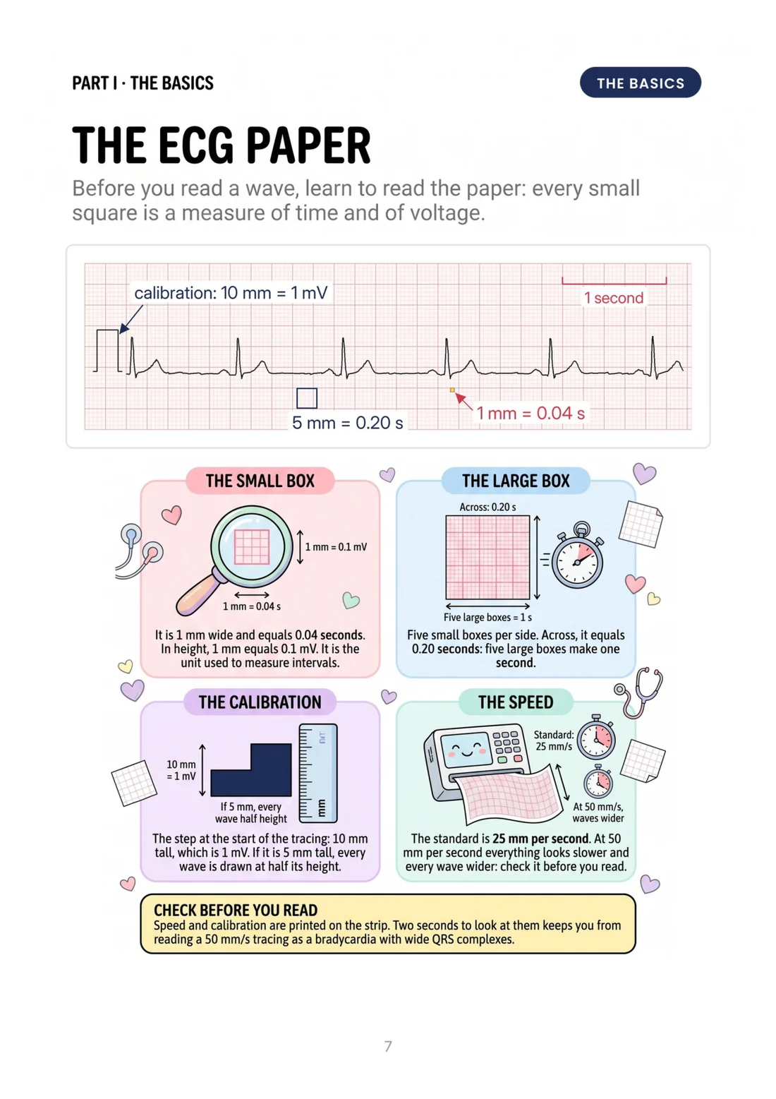 The ECG paper