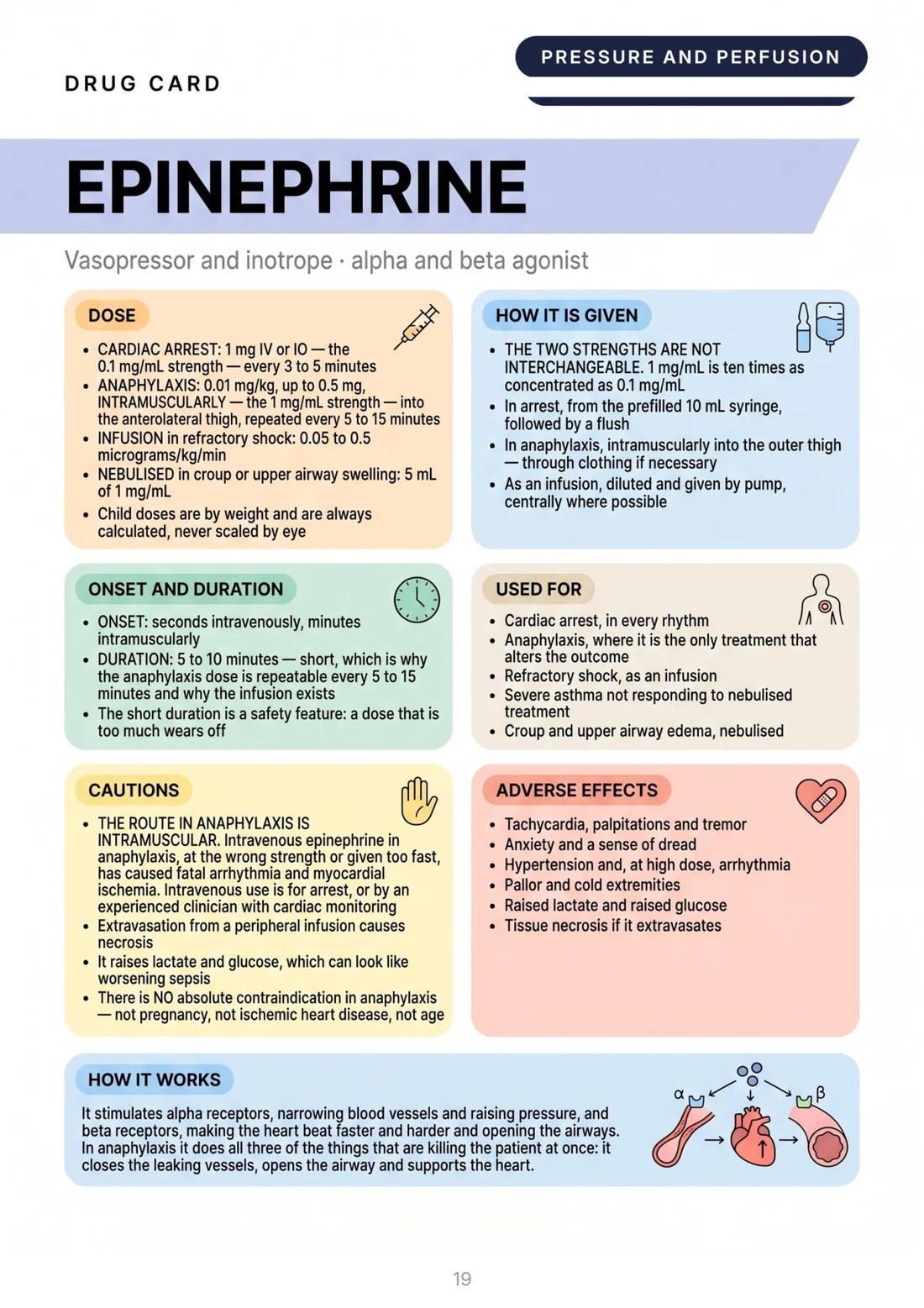Drug card: epinephrine