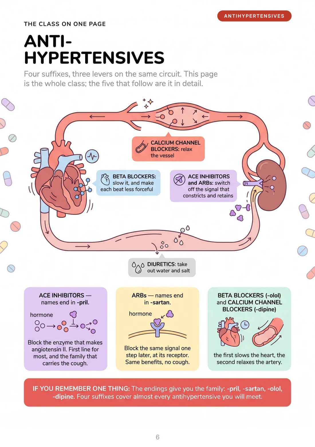 Sample page: Antihypertensives: four suffixes, one page